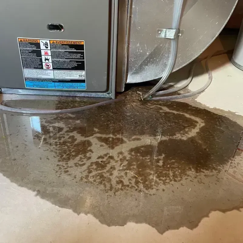 Appliance Leak Cleanup in Clarendon Hills, IL